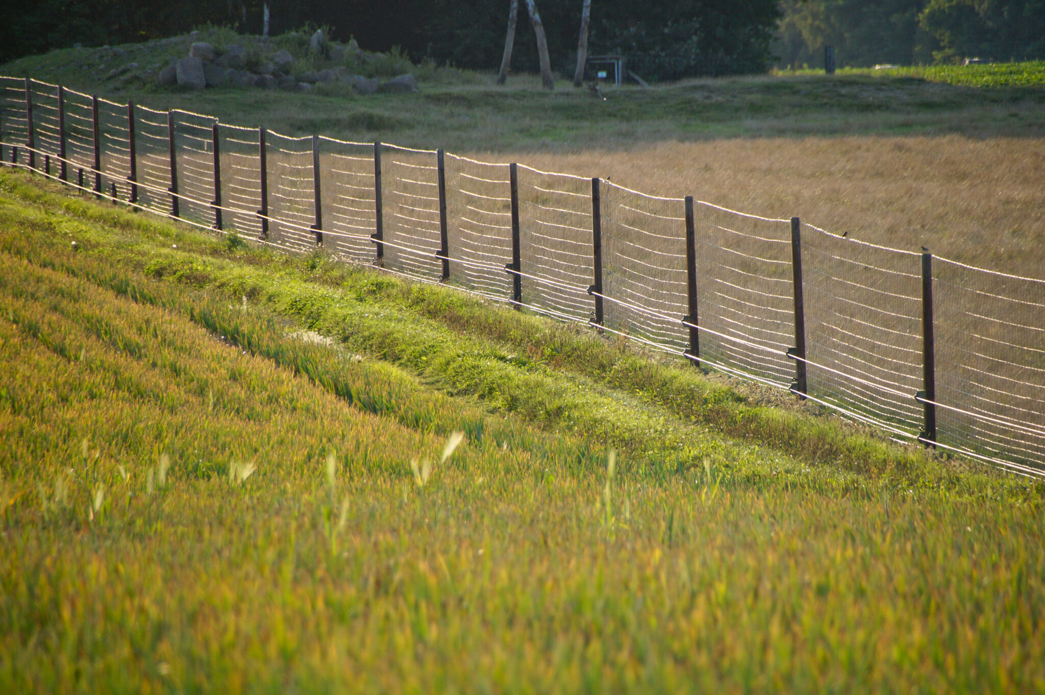 cloture agricole 2