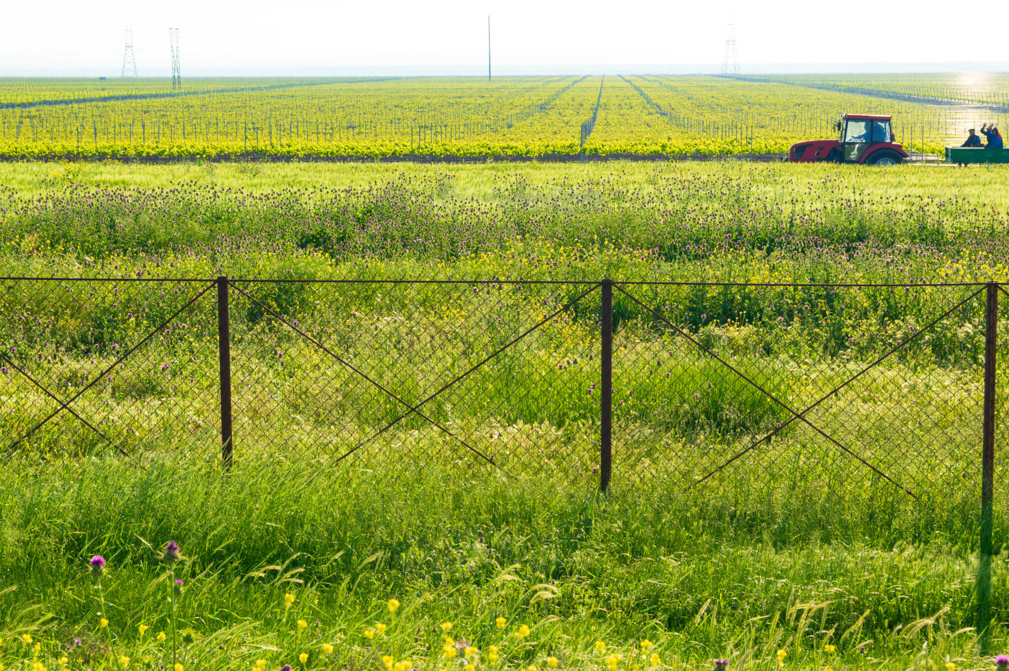 cloture agricole 7